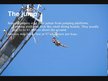Prezentācija 'Bungee Jumping', 4.