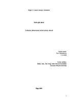 Referāts 'Dzīve pēc nāves', 1.