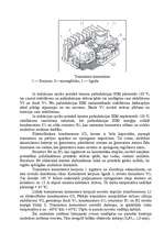 Referāts 'Kontaktu tranzistoru aizdedzes sistēma', 5.