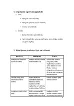 Referāts 'Projekta "Vienotas elektrības apmaksas sistēmas ieviešana Latvijā" pieteikums', 4.