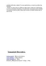 Referāts 'Ķīna', 13.