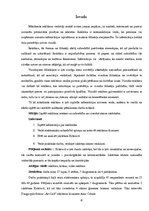 Referāts 'Vizuālā reklāma', 6.