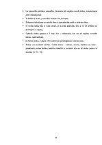 Referāts 'Vizuālā reklāma', 16.