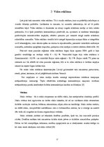 Referāts 'Vizuālā reklāma', 17.