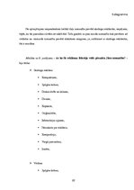 Referāts 'Vizuālā reklāma', 22.