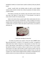 Referāts 'Vizuālā reklāma', 25.