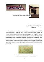 Referāts 'Vizuālā reklāma', 26.