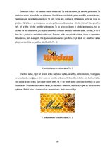 Referāts 'Vizuālā reklāma', 28.