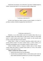 Referāts 'Vizuālā reklāma', 29.