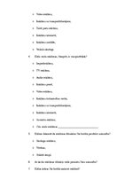 Referāts 'Vizuālā reklāma', 37.