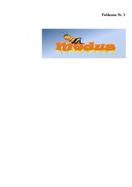 Referāts 'Vizuālā reklāma', 39.