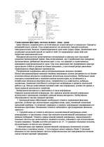 Referāts 'Эргономика', 5.