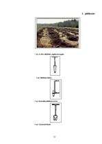 Referāts 'Meža atjaunošana un ieaudzēšana', 21.