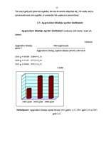 Referāts 'Uzņēmuma finansiālais stāvoklis', 12.