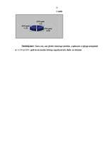 Referāts 'Uzņēmuma finansiālais stāvoklis', 15.