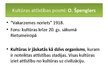 Prezentācija 'Kas ir kultūra', 16.