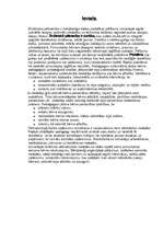 Referāts 'Bērna raksturojums', 2.