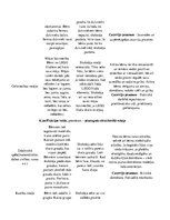 Konspekts 'Rotaļu analīze', 2.