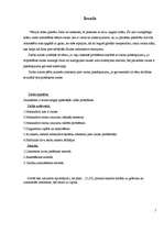 Referāts 'Ozona slāņa noārdīšanās un cilvēku attieksme pret to', 5.