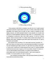 Referāts 'Ozona slāņa noārdīšanās un cilvēku attieksme pret to', 7.