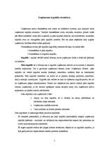 Referāts 'Uzņēmuma kapitāla struktūra', 2.