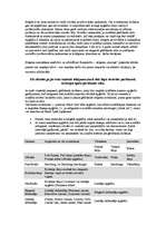 Referāts 'Apģērba etiķete', 4.