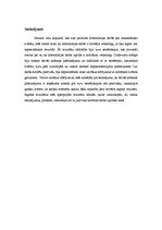 Paraugs 'Matemātiskais svārsts', 6.