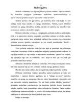 Referāts 'Politiskā simbolika', 12.