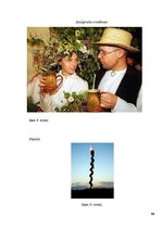 Referāts 'Veselīga dzīvesveida atainojums latviešu tautas tradīcijās', 16.