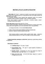 Biznesa plāns 'SIA ”Dolche” biznesa plāns', 3.