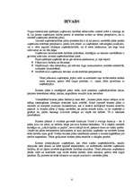 Biznesa plāns 'SIA ”Dolche” biznesa plāns', 5.