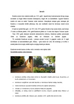 Referāts 'Tūrisma attīstības iespējas Kandavas novadā', 3.