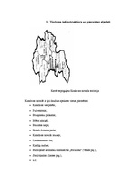 Referāts 'Tūrisma attīstības iespējas Kandavas novadā', 4.
