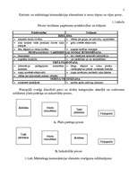 Diplomdarbs 'Reklāmas organizēšana uzņēmējdarbībā', 9.