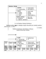 Diplomdarbs 'Reklāmas organizēšana uzņēmējdarbībā', 18.