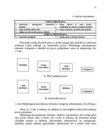 Diplomdarbs 'Reklāmas organizēšana uzņēmējdarbībā', 52.