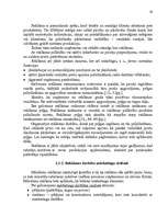 Diplomdarbs 'Reklāmas organizēšana uzņēmējdarbībā', 56.