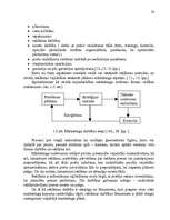Diplomdarbs 'Reklāmas organizēšana uzņēmējdarbībā', 57.