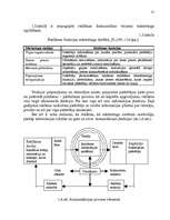 Diplomdarbs 'Reklāmas organizēšana uzņēmējdarbībā', 58.
