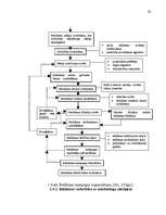 Diplomdarbs 'Reklāmas organizēšana uzņēmējdarbībā', 65.
