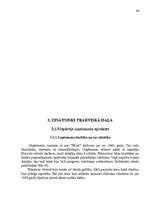 Diplomdarbs 'Reklāmas organizēšana uzņēmējdarbībā', 103.