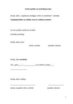 Referāts 'Uzņēmuma stratēģijas izvēle un realizēšana', 2.