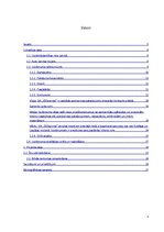 Referāts 'Uzņēmuma stratēģijas izvēle un realizēšana', 3.