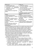 Referāts 'Uzņēmuma stratēģijas izvēle un realizēšana', 16.