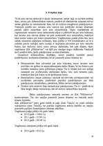 Referāts 'Uzņēmuma stratēģijas izvēle un realizēšana', 19.