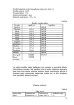 Referāts 'Uzņēmuma stratēģijas izvēle un realizēšana', 23.