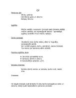 Paraugs 'Curriculum Vitae', 1.