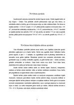 Referāts 'Lauksaimniecības ēka - cūku ferma', 5.