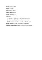 Konspekts 'Burta "T" apguve pirmsskolā', 1.