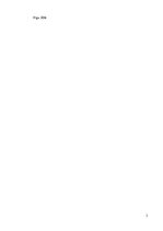 Biznesa plāns 'Auto īres platforma privātpersonām', 2.